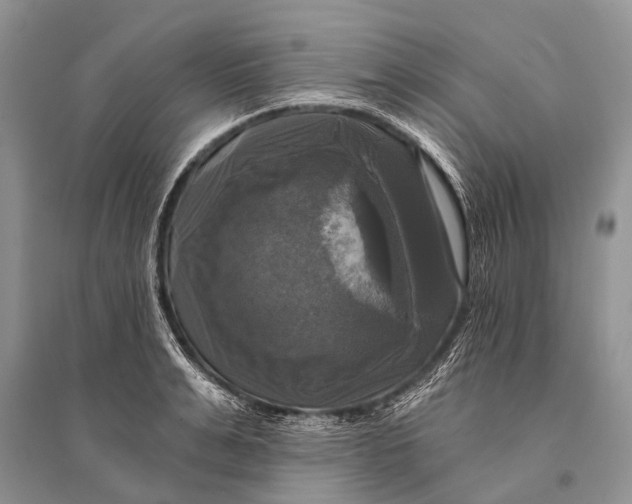 X0000094900991200712201130