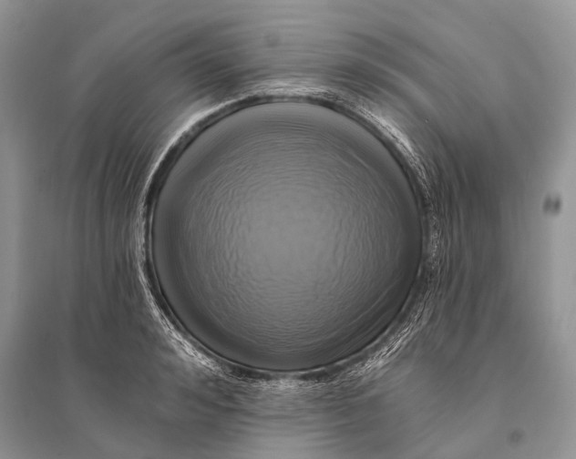 X0000094900992200712201130