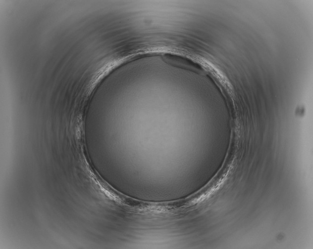 X0000094900993200712201130