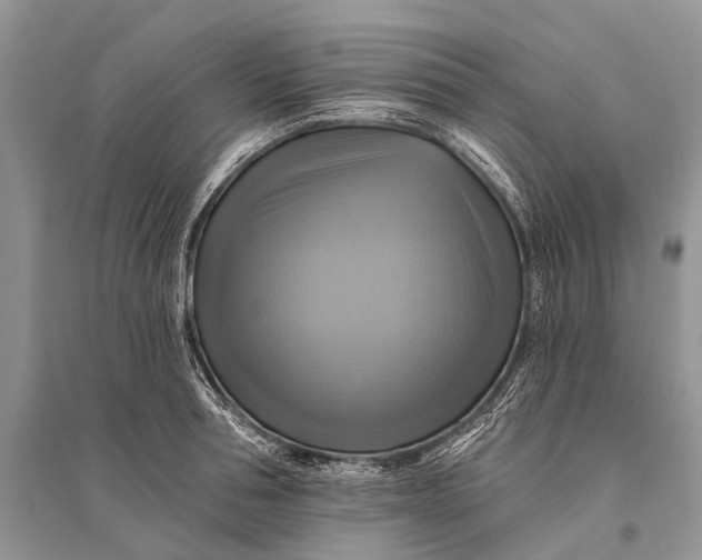 X0000094900994200712201130