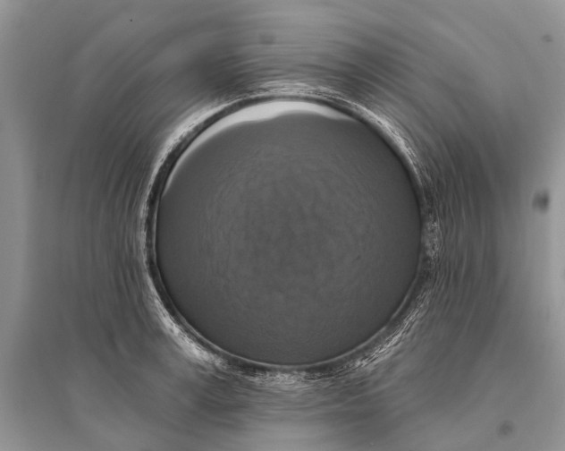 X0000094900995200712201130