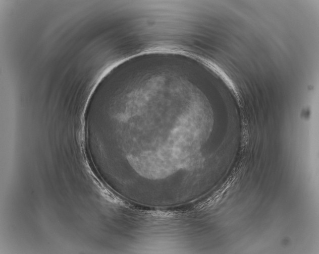 X0000094900996200712201130