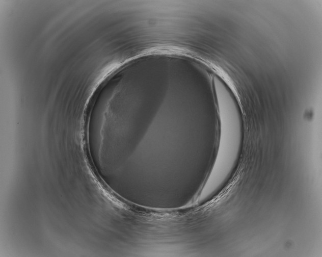 X0000094900997200712201130