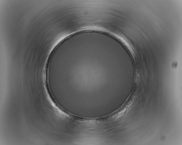 X0000094900999200712201130