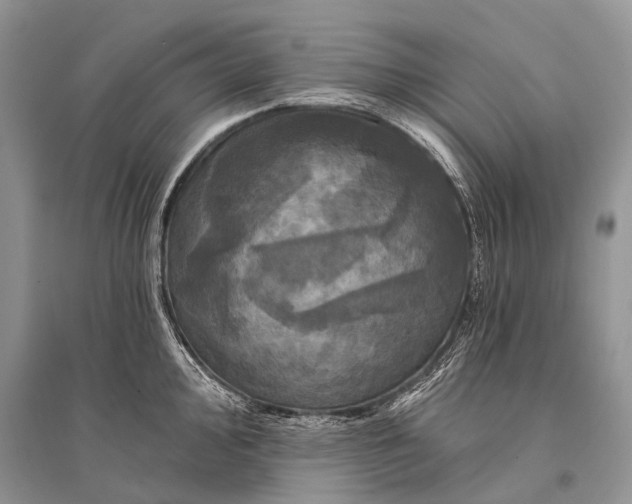 X0000094901000200712201130