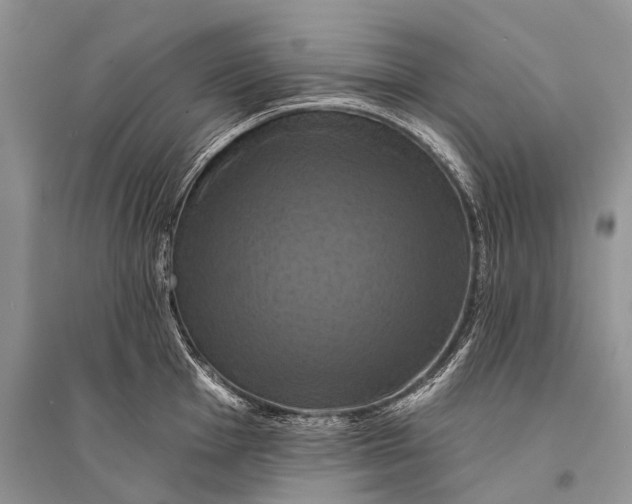 X0000094901001200712201130