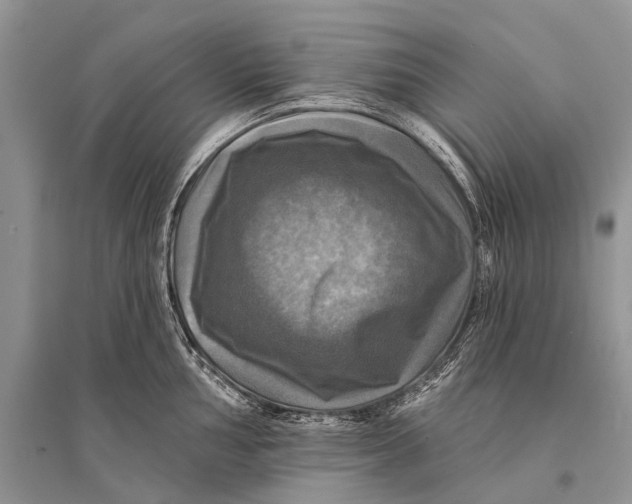 X0000094901002200712201130