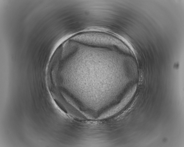 X0000094901003200712201130