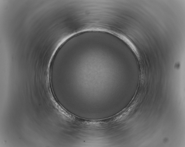 X0000094901004200712201130