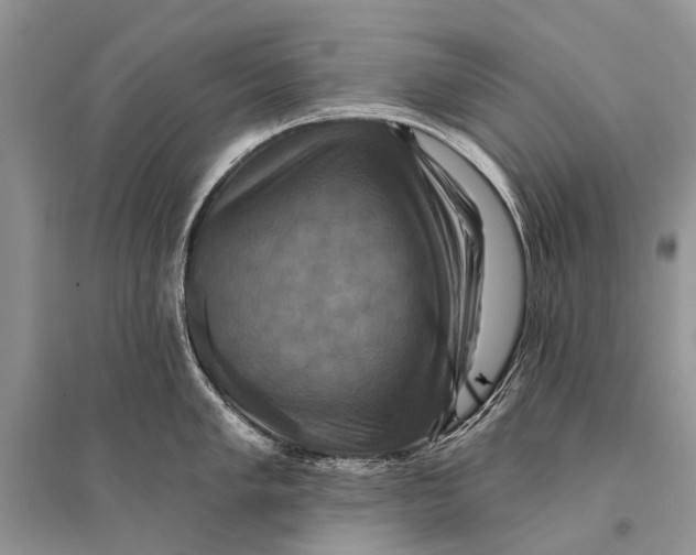 X0000094901005200712201130