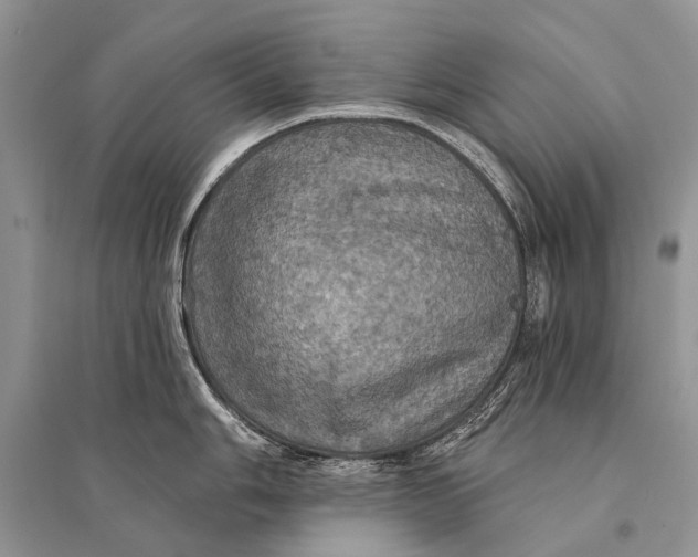 X0000094901006200712201130