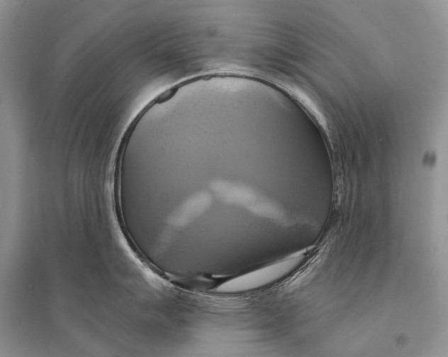 X0000094901007200712201130