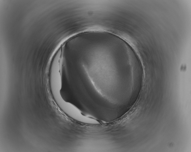 X0000094901008200712201130