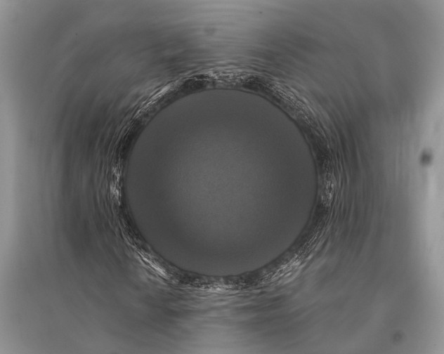 X0000094901010200712201129