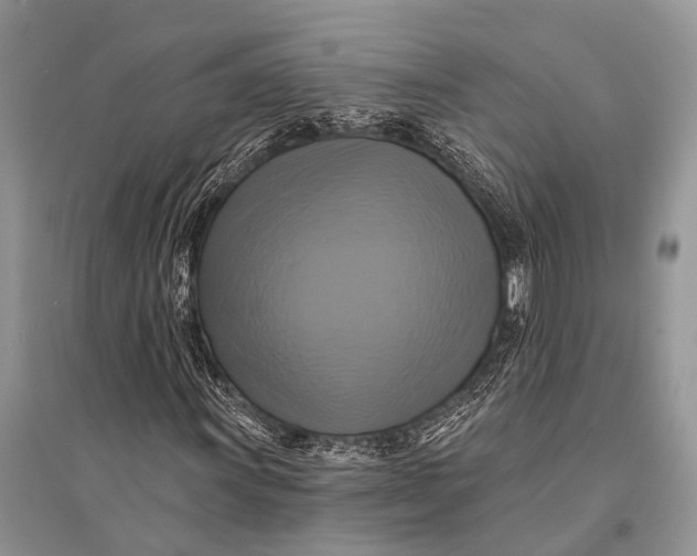 X0000094901011200712201129