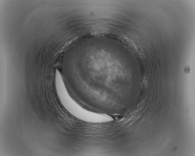 X0000094901012200712201129