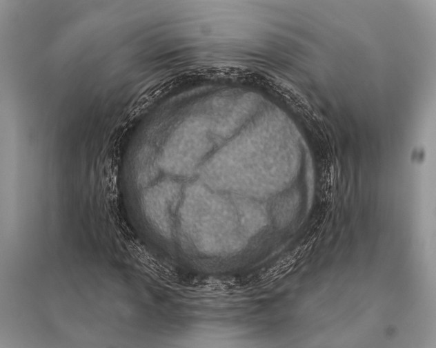 X0000094901013200712201129