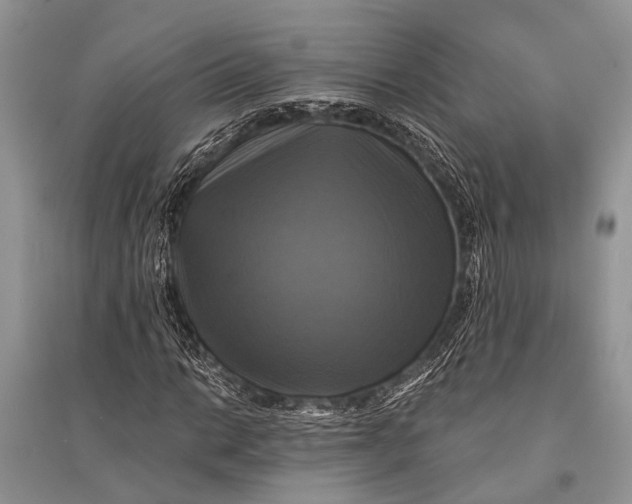 X0000094901014200712201129