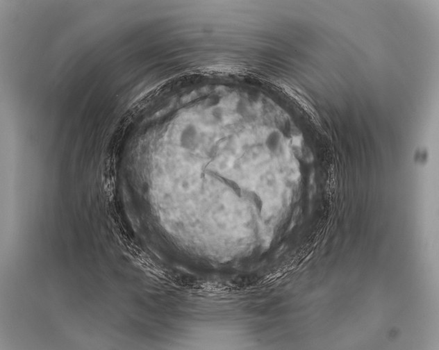 X0000094901015200712201129