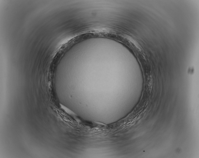 X0000094901016200712201129