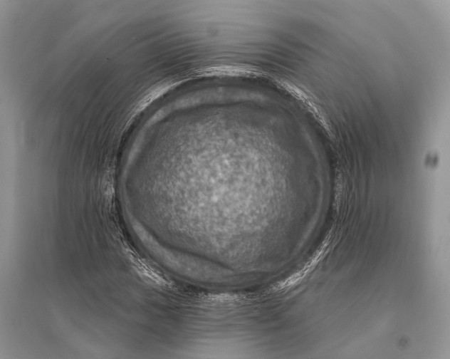 X0000094901017200712201129