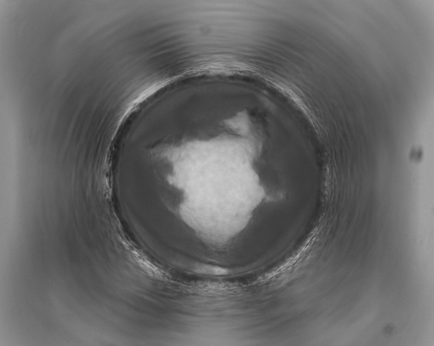 X0000094901018200712201129