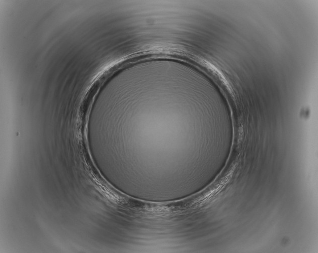 X0000094901019200712201129