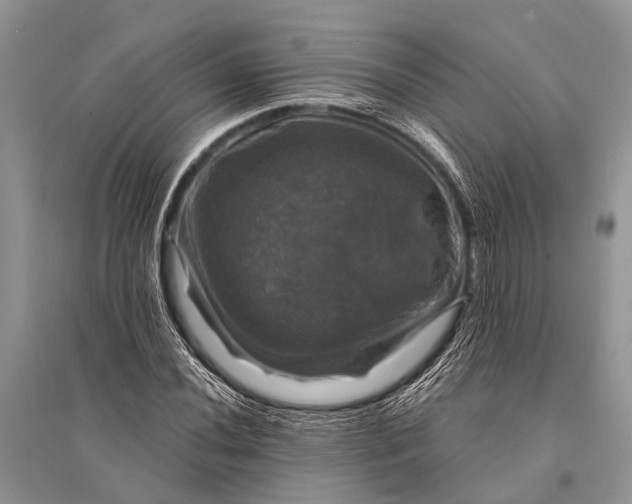 X0000094901020200712201129