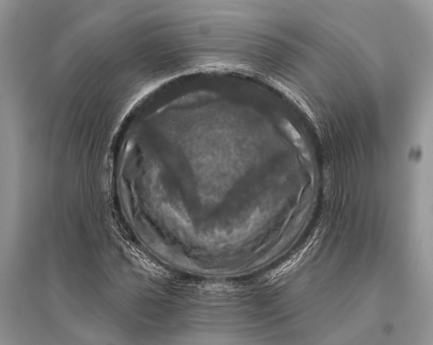 X0000094901021200712201129