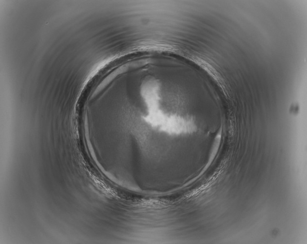 X0000094901022200712201129