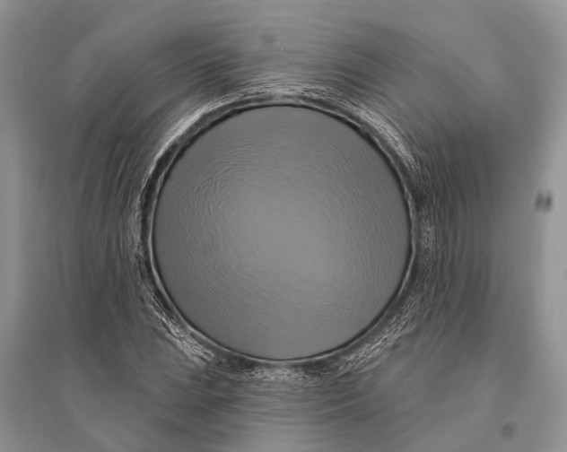 X0000094901023200712201129