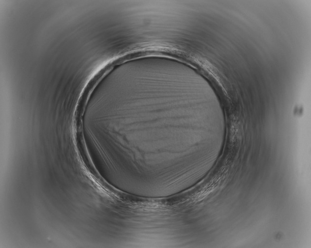 X0000094901024200712201129