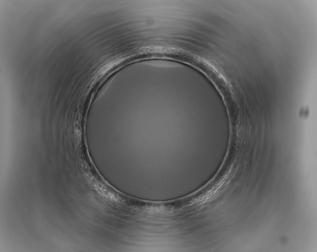 X0000094901025200712201130