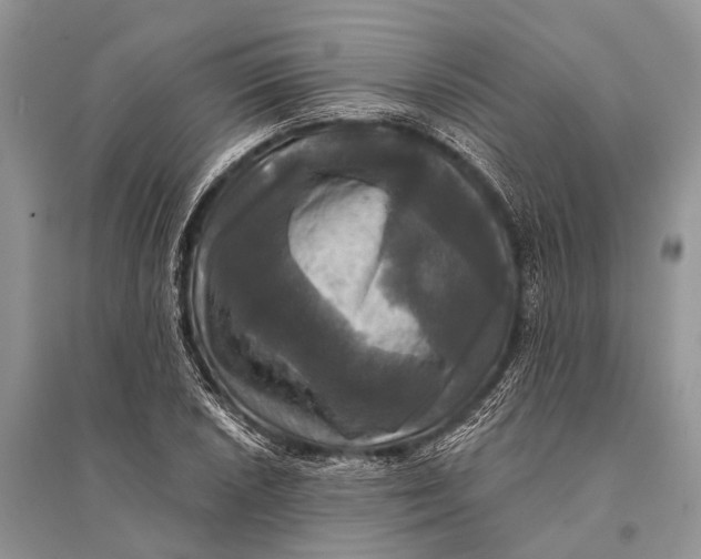 X0000094901026200712201130