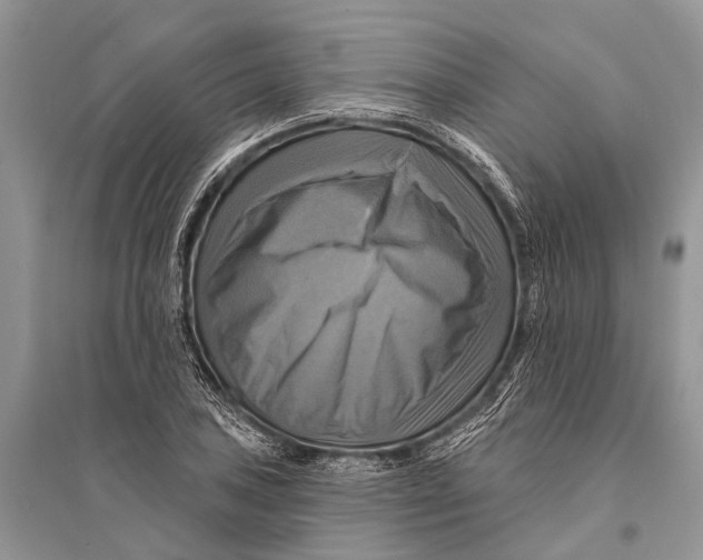 X0000094901027200712201130