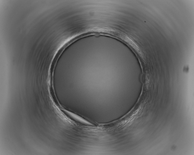 X0000094901028200712201130