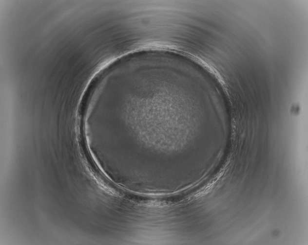 X0000094901029200712201130