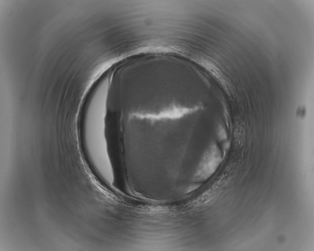 X0000094901030200712201130