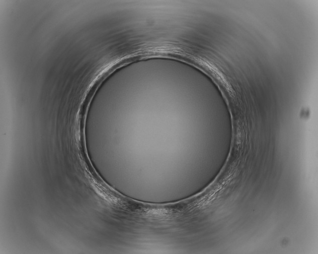 X0000094901031200712201130