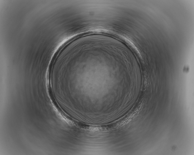 X0000094901032200712201130