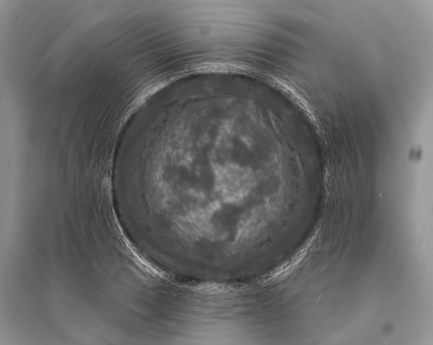 X0000094901033200712201130