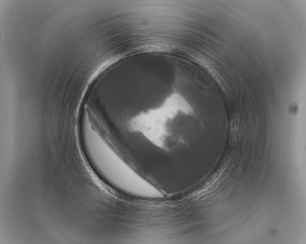 X0000094901034200712201130