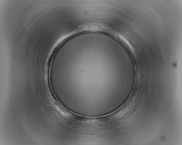 X0000094901035200712201130