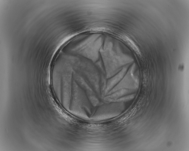 X0000094901036200712201130