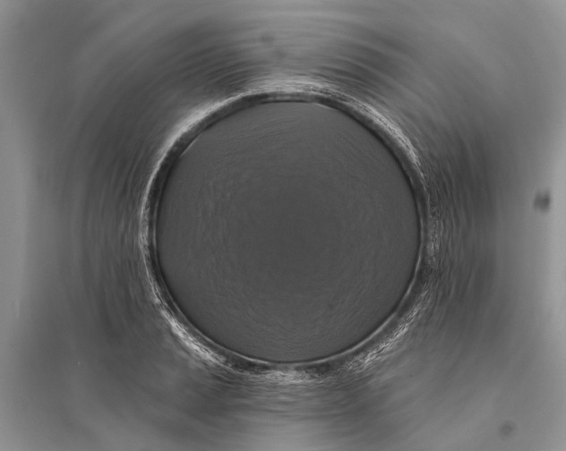 X0000094901037200712201130