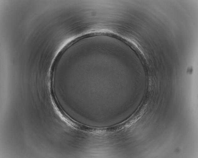 X0000094901038200712201130