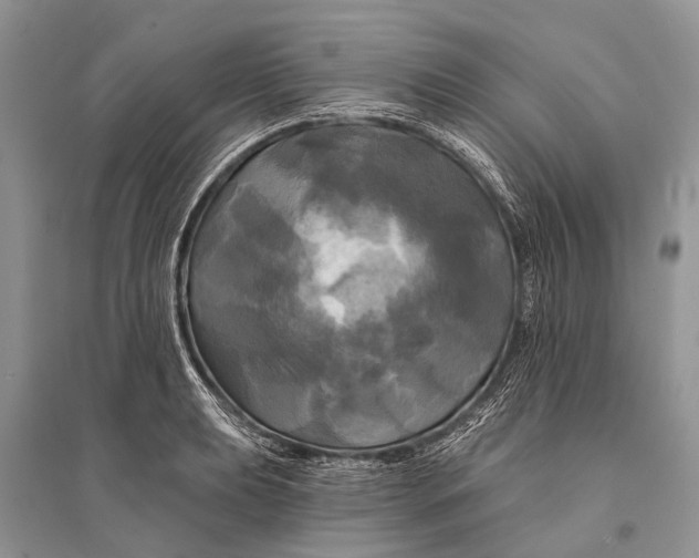 X0000094901039200712201130