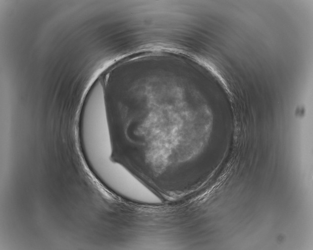 X0000094901040200712201130