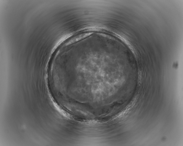 X0000094901042200712201130