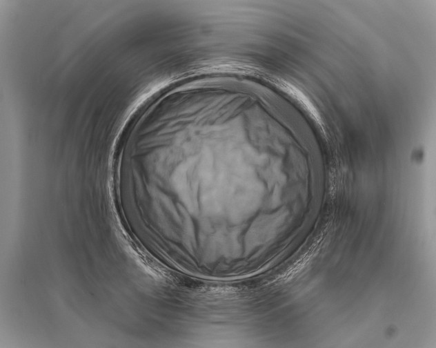 X0000094901043200712201130